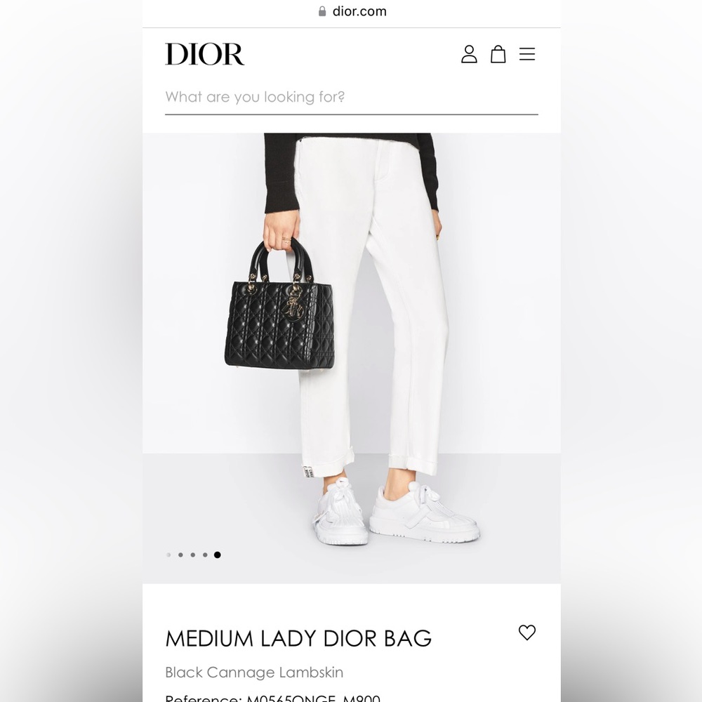 Lady Dior bag ( limited edition). - Picture 12 of 15